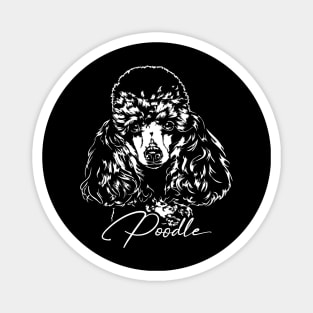 Funny Cute Poodle dog portrait Magnet